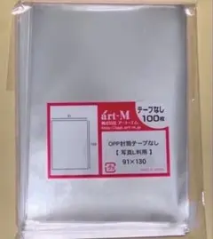 100枚 L判生写真 ぴったりスリーブ