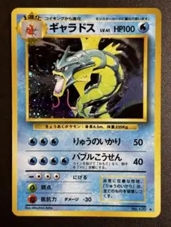 旧裏　ポケモンカード　ギャラドス