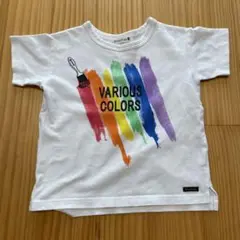 branshes VARIOUS COLORS Tシャツ 100cm