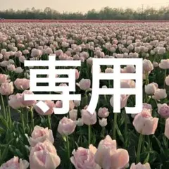 専用
