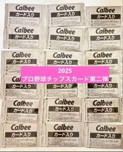 【未開封】2025 プロ野球チップス カード 18袋 セット (カードのみ)