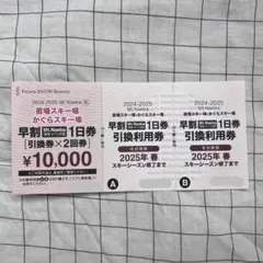 値下げ!!【即日発送】苗場・かぐら 早割1日券 引換券4回分 Mt.Naeba 早割1日券 引換券×2回（Mt.Naeba 苗場スキー場 かぐら