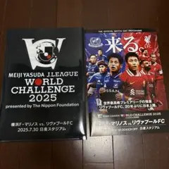 マリノスリヴァプールWORLD CHALLENGEプログラム&ファイル