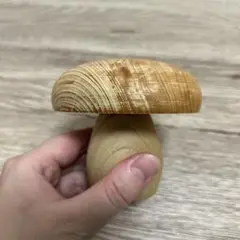 ダーニングマッシュルーム