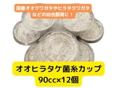 オオヒラタケ菌糸カップ 90cc 12個