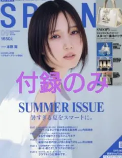 雑誌SPRING付録②スヌーピー保冷バック