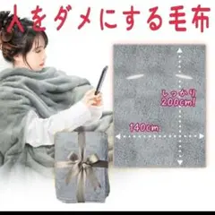リラックスタイム 毛布 ひざ掛け ブランケット 大判 着る毛布 ②