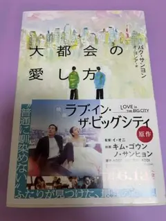 大都会の愛し方 単行本 ラブインザビッグシティ