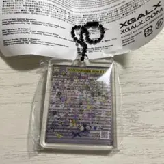 XG カプセルトイ　ギフトパネルアクリルチャーム　FUKUOKA OSAKA2