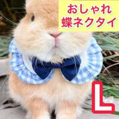 Item thumbnail for item c5606fa7-b864-4b11-96a4-efc825c62f58