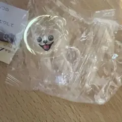 ガチャ　犬の毛収納