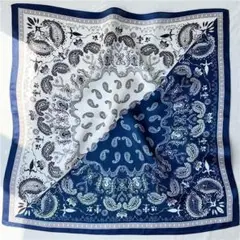 シルク100%ペイズリー２色切替 スカーフ お出かけ 涼しげ　上品　人気 409