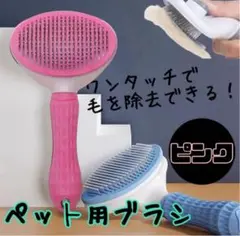 Item thumbnail for item 41a734b5-7995-4960-a984-684b084d2866