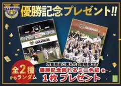 【会場限定】ヤクルトスワローズ☆優勝記念色紙セット