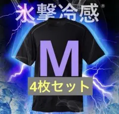 ワークマン　氷撃冷感(R)-10℃半袖Tシャツ　4枚セット D2