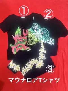 マウナロアTシャツ 3枚セット★Mサイズ