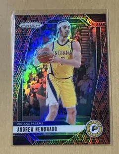 SSP NBA PACERS ANDREW NEMBHARD SNAKESKIN