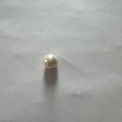 最終値下げ！真珠☆一粒　パール