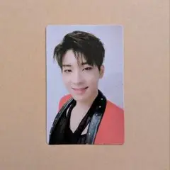 SEVENTEEN An Ode ウォヌRealトレカ