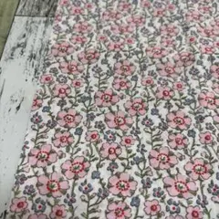 リバティ 52×20cmほど