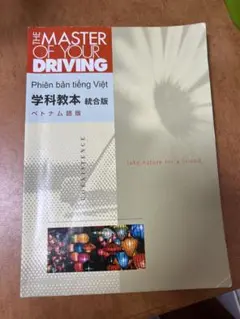 The Master of Your Driving ベトナム語 học lái