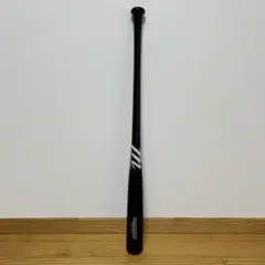 Item thumbnail for item 8a9276d8-47df-4be5-8021-7b58fe9a2ad2