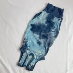 Item thumbnail for item dea587ea-d066-4b75-aafa-7128413c9b03