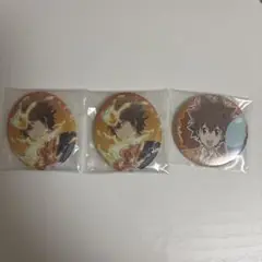 家庭教師ヒットマンREBORN！　沢田綱吉　缶バッジセット