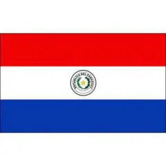 パラグアイ 国旗 フラッグ 応援 送料無料 150cm x 90cm 新品