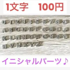 Item thumbnail for item a79e75c9-aef3-4d3a-8a6c-e00f17d4f73f