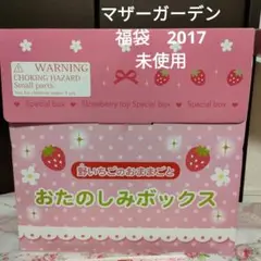 未使用 マザーガーデン お楽しみボックス 野いちご おままごと