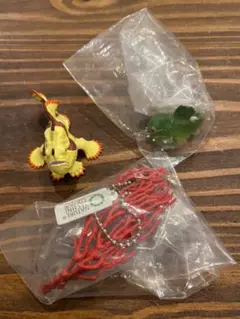 ネイチャー　うみべのいきもの