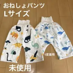 【2枚セット】おねしょパンツLサイズ