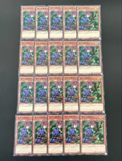 2742.遊戯王 聖なる魔術師 セイントマジシャン 20枚