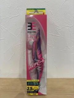 エギ王　ライブサーチ