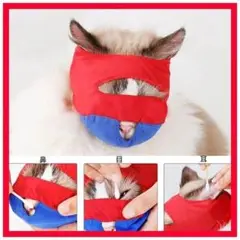 Item thumbnail for item 5598e8d3-a1f3-4291-99b1-32aff05db9a7