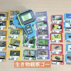 生き物 観察ゴー！　ちゃれんじ　ベネッセ