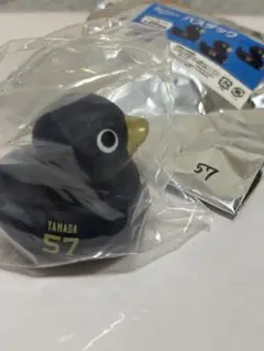 オリックスバスダック57