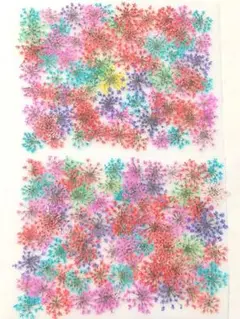 押し花 素材 訳あり レースフラワー No13