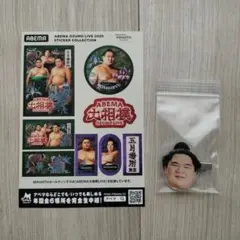 【未使用】宇良 ヘアクリップ ABEMA大相撲ステッカー