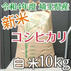 新米 美味しいお米 令和4年 埼玉県産 コシヒカリ 白米 10kg 送料無料