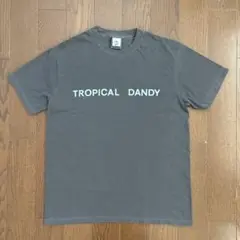 細野晴臣 トロピカル・ダンディ Tシャツ L
