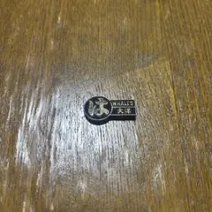 Item thumbnail for item 25aae419-68d5-483d-a638-e335934ce0d8