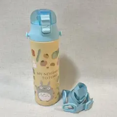水筒 スケーター SKDC6 となりのトトロ 570ml