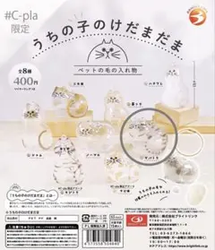 うちのこのけだまだま　サバトラ
