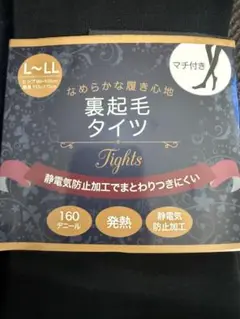 裏起毛タイツ L-LL 2足セット