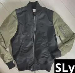 Item thumbnail for item ed5d6352-693a-4811-9e66-6731528c4655