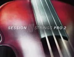 SESSION STRINGS PRO2 UPG版