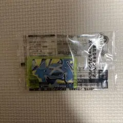 ポケモンフレンダ　ベストタッグ1弾　あたりキャンペーン　メタグロス