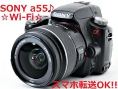 良好♪☆Wi-Fiで写真をスマホ転送OK!!☆ SONY a55 18-55mm